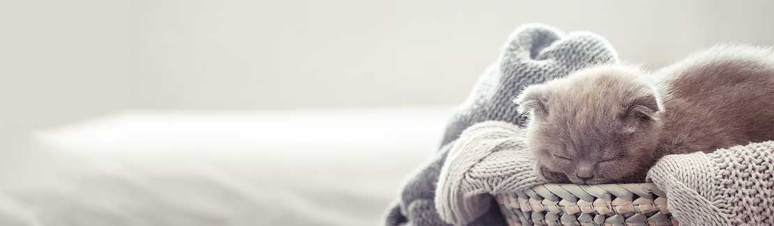 Tierheilmittel Hersteller