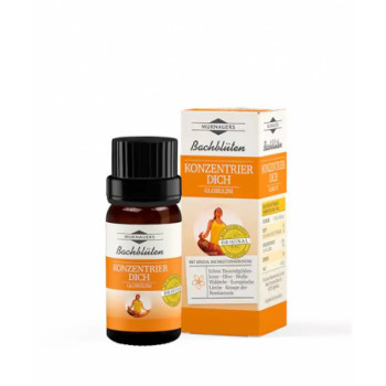 BACHBLÜTEN Konzentrier Dich Globulini