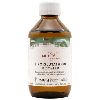 LIPO GLUTATHION BOOSTER Flüssigkeit z.Einnehmen