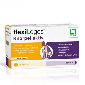 FLEXILOGES Knorpel aktiv Kapseln