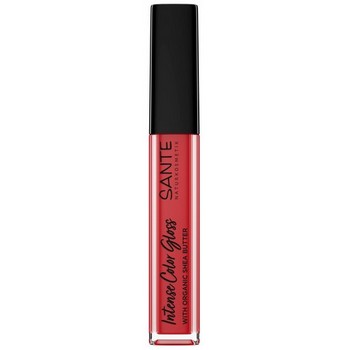 Sante Intense Color Gloss 04