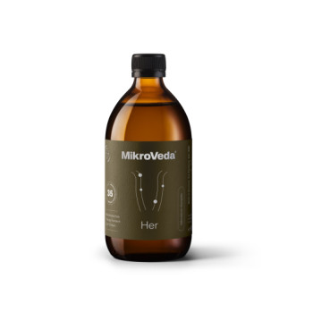 MIKROVEDA Her